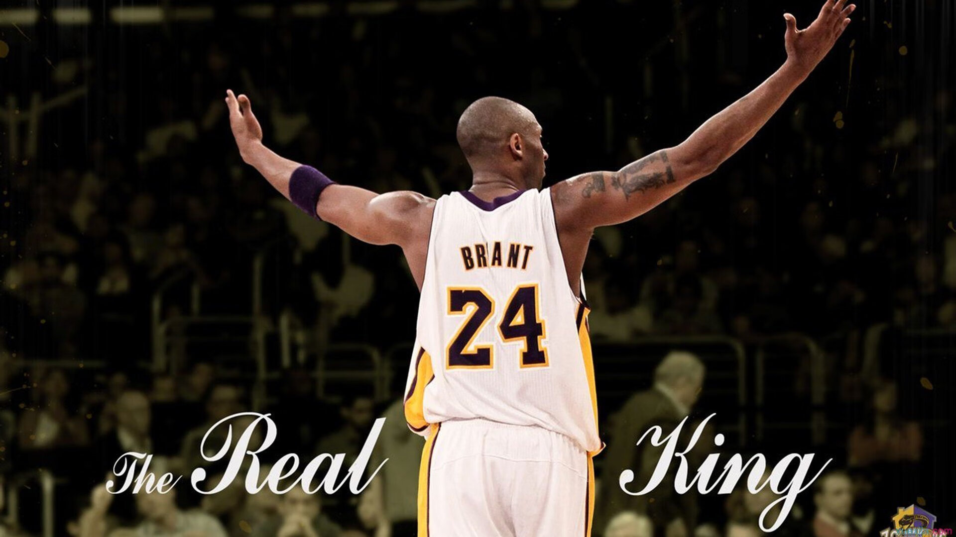 篮球梦想激励着一代又一代青年，关于篮球梦想的句子